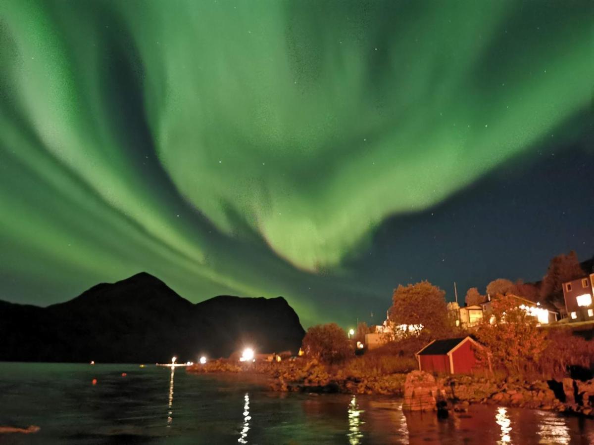 Waterfront Senja Leilighet Torsken Eksteriør bilde