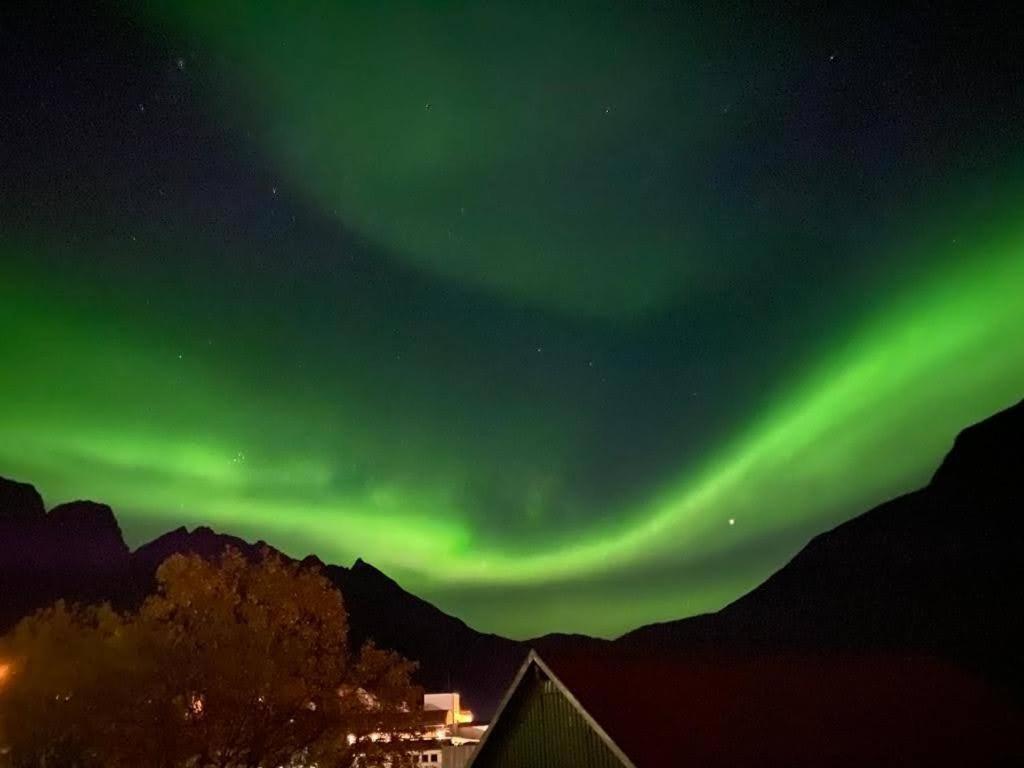 Waterfront Senja Leilighet Torsken Eksteriør bilde