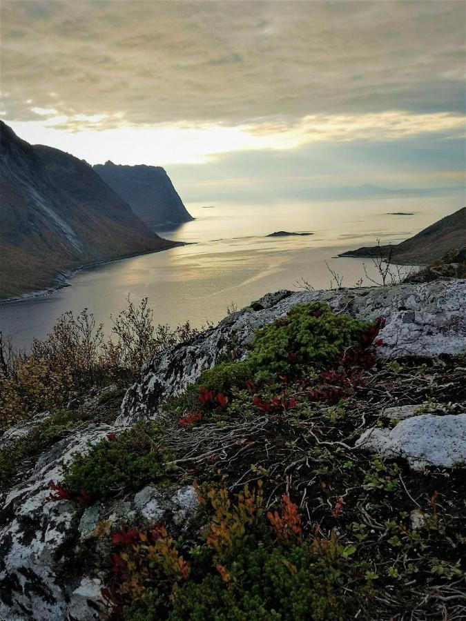 Waterfront Senja Leilighet Torsken Eksteriør bilde