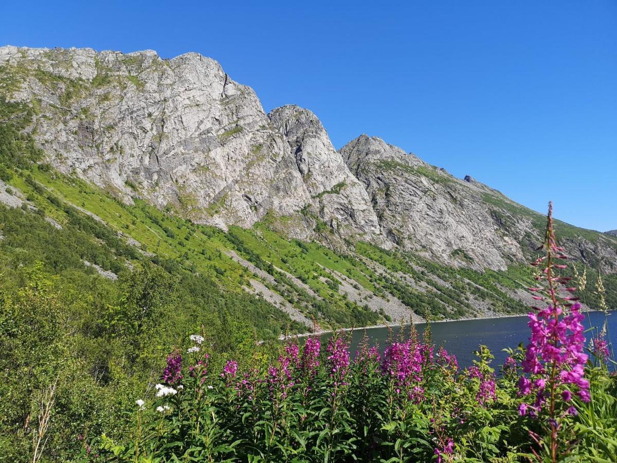 Waterfront Senja Leilighet Torsken Eksteriør bilde