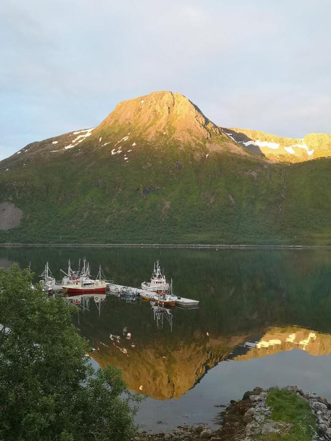 Waterfront Senja Leilighet Torsken Eksteriør bilde
