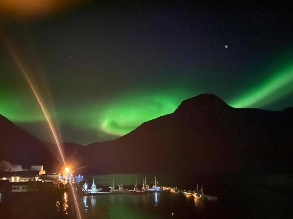 Waterfront Senja Leilighet Torsken Eksteriør bilde