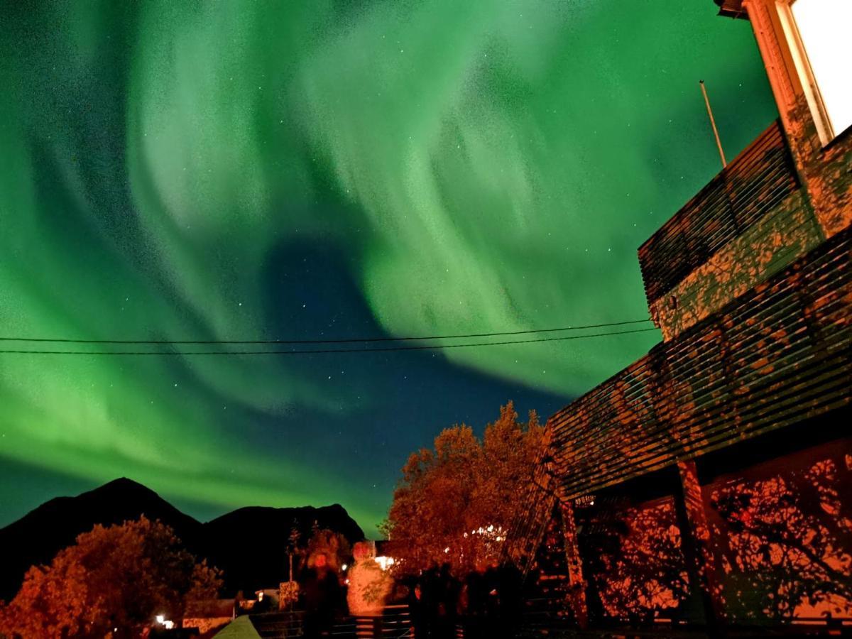 Waterfront Senja Leilighet Torsken Eksteriør bilde