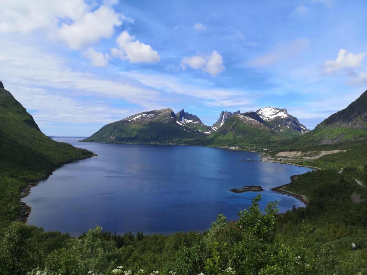 Waterfront Senja Leilighet Torsken Eksteriør bilde